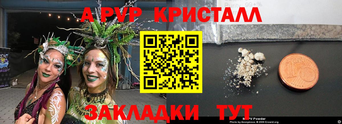 APVP СК Балашов