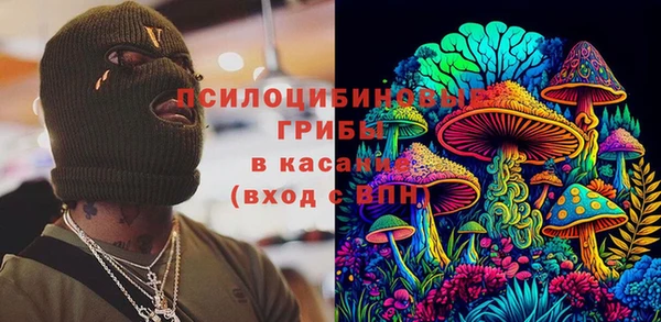 индика Алексеевка