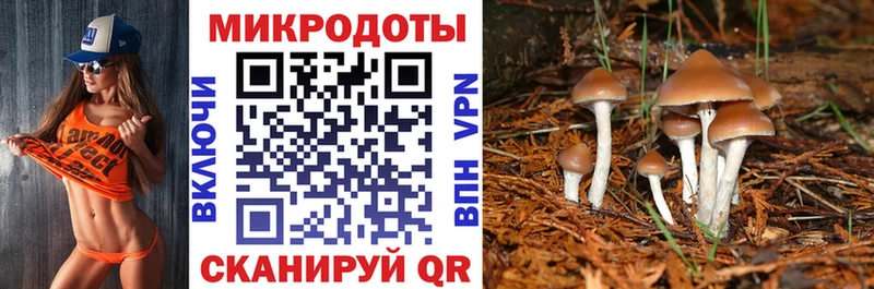 kraken зеркало  наркота  Балашов  Галлюциногенные грибы мухоморы 