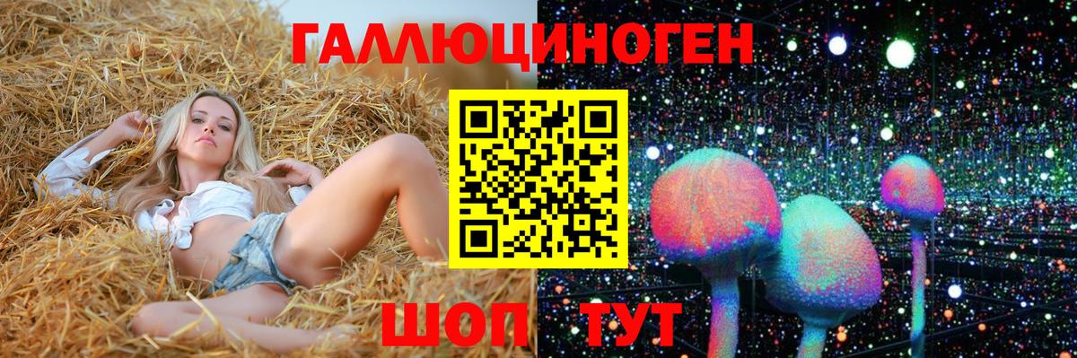 Галлюциногенные грибы прущие грибы Балашов