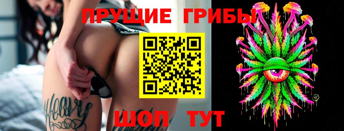 Балашов  Галлюциногенные грибы ЛСД  Вход с VPN 